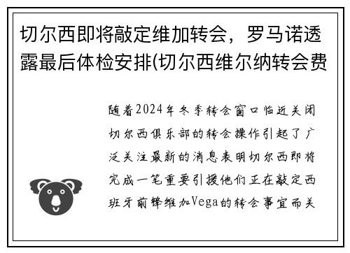 切尔西即将敲定维加转会，罗马诺透露最后体检安排(切尔西维尔纳转会费)