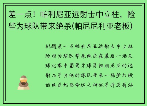 差一点！帕利尼亚远射击中立柱，险些为球队带来绝杀(帕尼尼利亚老板)